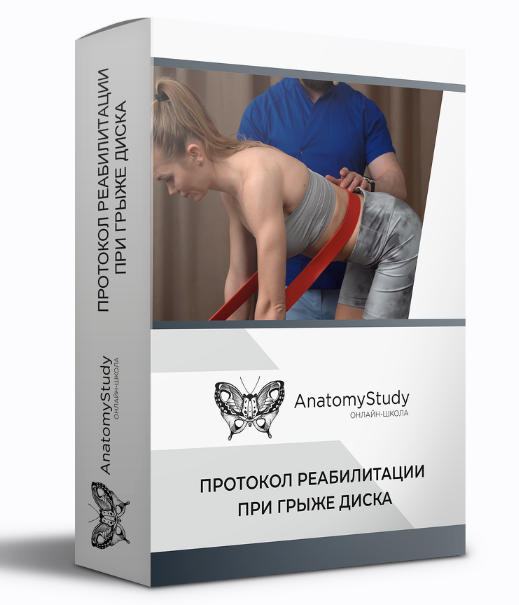 [Андрей Богатырев] [Анатомия] Протокол реабилитаци_0.png